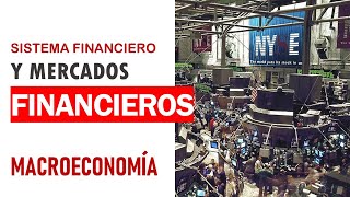 Sistema financiero concepto y participantes de mercados financieros [upl. by Nylanaj806]