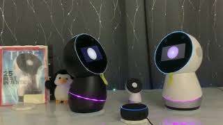 Jibo is getting to know Alexa Part 2 voice recognition session [upl. by Godfree327]