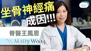 脊醫王鳳恩  坐骨神經痛的成因 中 Eng Sub Sciatica causes  Dr Matty Wong  Doctor of Chiropractic [upl. by Modnarb852]