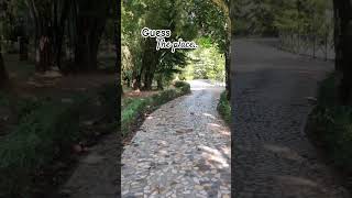 🌿 dhaka resort bangladesh nature trendingsong ytshorts viralshort beautifulplace [upl. by Slin]