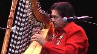 Celso Duarte Paraguayan Harp El Pajaro Campana [upl. by Radu]