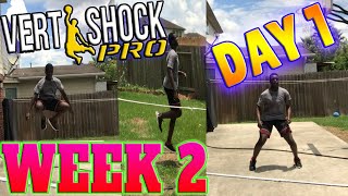 VERT SHOCK Pro Shock PhaseWeek 2 Day 1FOLLOW ALONG Vert Shock Day 8 Workouts [upl. by Naujik363]