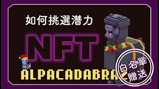 【NFT】如何篩選出有潛力的NFT項目？白名單又來啦｜ALPACADABRAZ [upl. by Animrelliug]