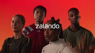 Zalando 2024 [upl. by Walley679]