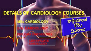 Paramedical DiplomaBScCardiology TechnologistTechnicianCardiovascular Technicians [upl. by Coltin]