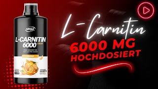 LCarnitine 6000 Liquid Amino Workout Drink  Fitness Supplements für Anfänger [upl. by Aleafar]