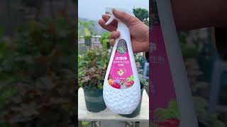 Indispensable for pest control and pest control rurallife garden plantingtips gardeningtips [upl. by Jenkel6]