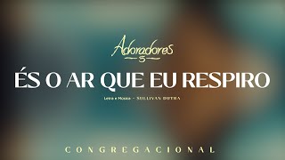 ADORADORES 5  ÉS O AR QUE EU RESPIRO LETRA [upl. by Ahsi116]