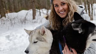 Winter in Haliburton Highlands  Winterdance Dogsled Tours amp Heather Lodge Resort [upl. by Nwonknu]