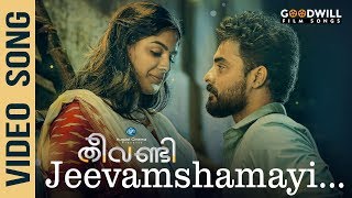 Thaa Thinnam Video Song  Theevandi  Tovino Thomas  Kailas Menon  Job Kurien [upl. by Hna869]