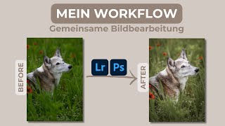 Bildbearbeitung Hundfotografie Pferdefotografie  Mein Workflow in Photoshop  Hundebild bearbeiten [upl. by Erdda]