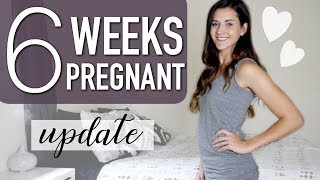 SCARY FIRST PRENATAL APPOINTMENT  6 WEEKS PREGNANCY UPDATE  EARLY PREGNANCY SYMPTOMS [upl. by Yrolg]