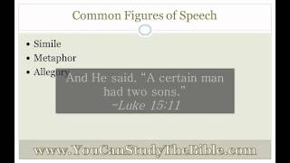 Figures of Speech in the Bible [upl. by Cassius715]