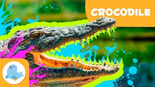 CROCODILES 🐊 Animals for Kids 🏞️ Episode 14 [upl. by Drolet]