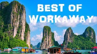 10 Best Workaway Experiences  Best Hosts on Workaway [upl. by Malena29]