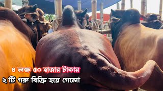 ২ টি বিশাল বড় গরু হাতবদল হয়ে গেলো ৪ লাখ ৫০ হাজারে  পাড়াগ্রাম গরুর হাট থেকে [upl. by Steffane411]