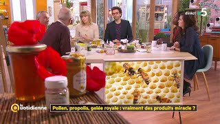 Pollen propolis gelée royale  sontils vraiment des produits miracle  La Quotidienne [upl. by Aokek]