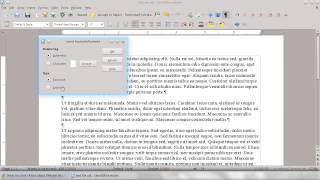 LibreOffice 4 How To add footnotes and endnotes [upl. by Anelehs]