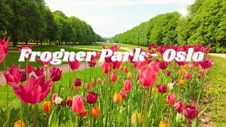 A Day in Frogner Park with English Subtitles 🇳🇴 [upl. by Acila]