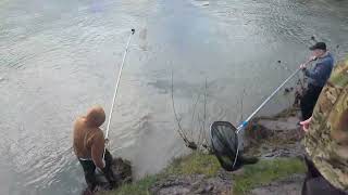 Cowlitz River Smelt Dipping [upl. by Riggall]