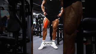 QUADS🦵🏽 Add this as part of your next leg day routine ✅ shorts [upl. by Yun759]