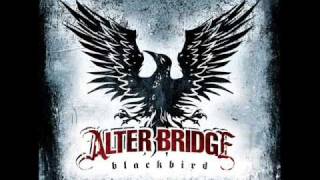 Alter Bridge  Coming Home  Lyrics [upl. by Stacee]