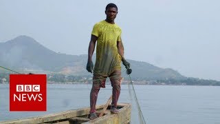 Is Chinas fishing fleet taking all of West Africas fish  BBC News [upl. by Saleem]