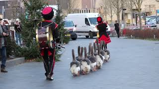 goose parade in valkenburg 荷蘭 [upl. by Quartas]