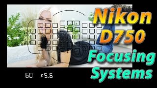 Nikon D750 Tutorial Training  Focusing Systems  How to [upl. by Eruza343]