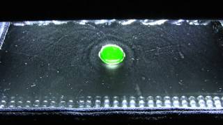 Uranium Oxyde glass bead in the cloud chamber 1080p [upl. by Burne]