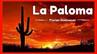 La Paloma Habanera Classical Guitar La Guitarra Mexicana by Florian Stollmayer 20142017 [upl. by Ragan738]