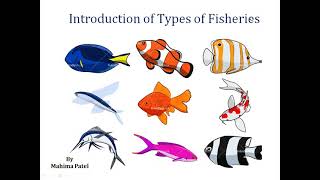 Introduction of the types of fisheries Lecture1 By Mahima Patel [upl. by Akinet]