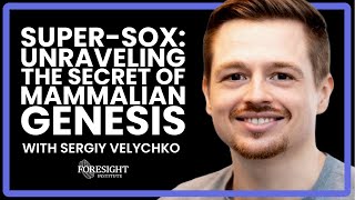 Sergiy Velychko  SuperSOX Unraveling The Secret of Mammalian Genesis [upl. by Niwri513]