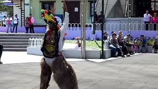 Danza tipica en la mitad del mundo quotEl Diablo Humaquot [upl. by Notnarb]