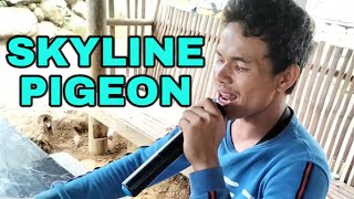 Skyline Pigeon  Skyline Pigeon Karaoke Video  cover by Idol JanJan [upl. by Icyak]