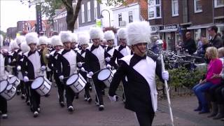 Streetparade Delft 2014 [upl. by Gerrie]