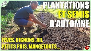 PLANTATIONS ET SEMIS DAUTOMNE [upl. by Aremahs]