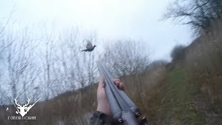 COMPILATION CHASSE PETIT GIBIER [upl. by Ydorb]