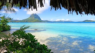 Beach View 3 Hours of Bora Bora Ambience amp Soft Ocean Sounds [upl. by Tamma]