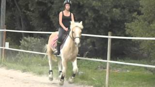 Galop avec Joy [upl. by Velleman]