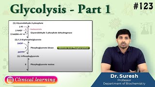 123 Glycolysis  Part 1 [upl. by Linetta689]