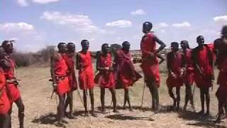 Massai Dance [upl. by Katerina]