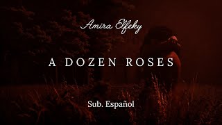 Amira Elfeky  A Dozen Roses Sub Español [upl. by Malchy709]