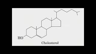 Acetyl CoA Precursor of Triacylglycerol amp Cholesterol Biosynthesis Metabolism Made Easy [upl. by Lippold753]