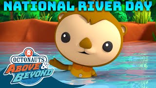 Octonauts Above amp Beyond  🌊 River Run 🏃  National River Day Compilation  Octonauts​ [upl. by Agathy]