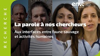 Aux interfaces entre faune sauvage et activités humaines [upl. by Clyte779]