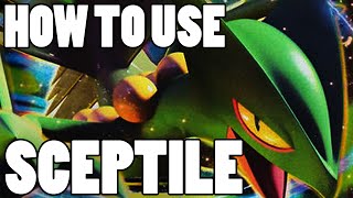 Pokémon How To Use Sceptile Sceptile Moveset  Pokemon Omega Ruby and Alpha Sapphire  XampY Guide [upl. by Hippel]