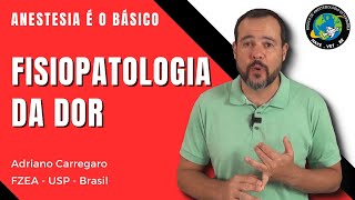 7⃣ ENTENDENDO A FISIOPATOLOGIA DA DOR  Anestesia é o Básico 7 [upl. by Niarda392]