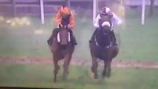 Fakenham race both horses ok [upl. by Oryaj]