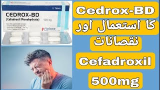 Cedrox BD 500mg Uses  Cedrox BD Tablet Side Effects  Cefadroxil 500mg Uses in UrduHindi [upl. by Anived]